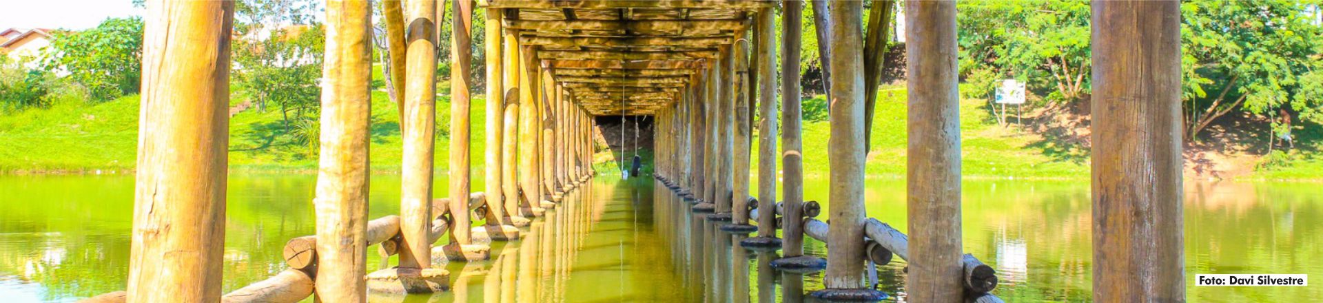 Parque - Davi Silvestre 07