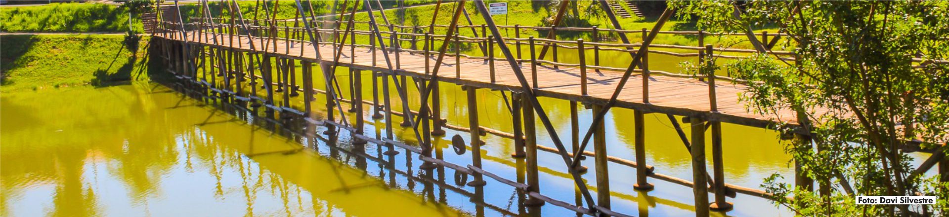 Parque - Davi Silvestre 03