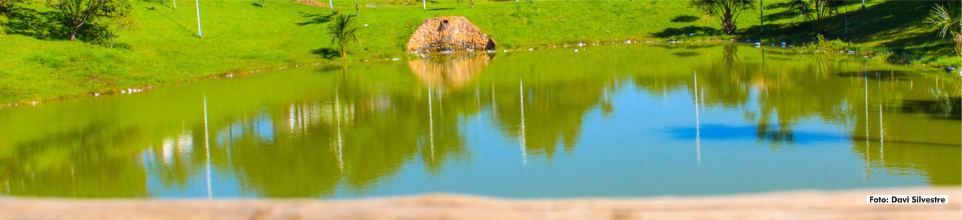 Parque - Davi Silvestre 06