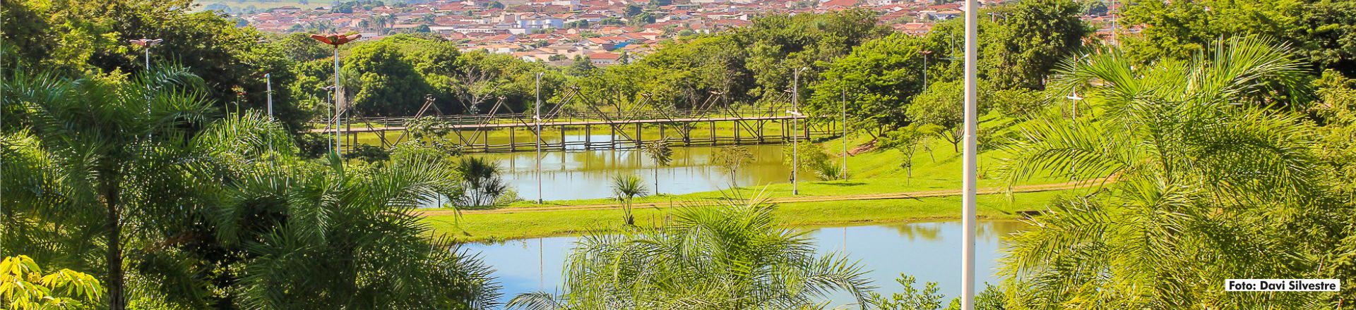 Parque - Davi Silvestre 09