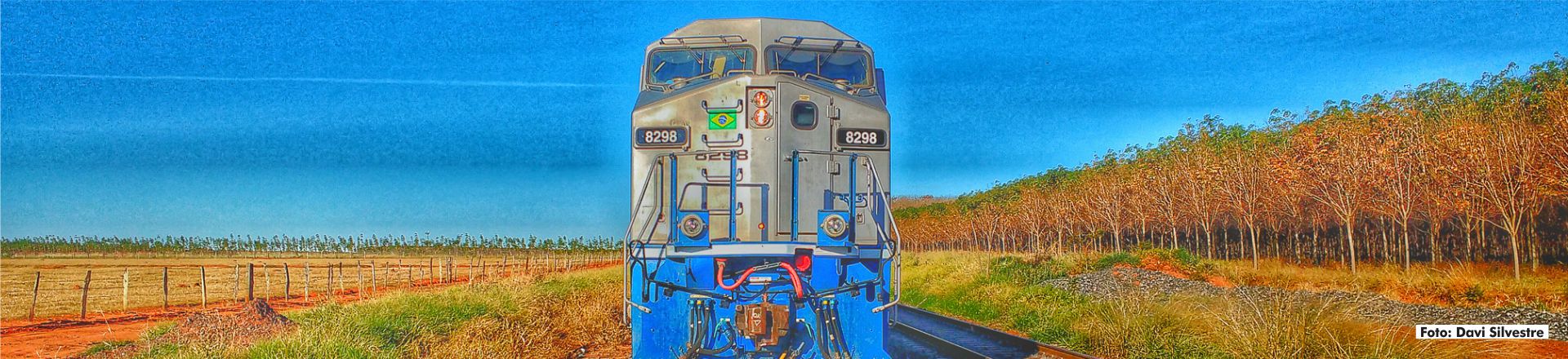 Locomotiva - Davi Silvestre