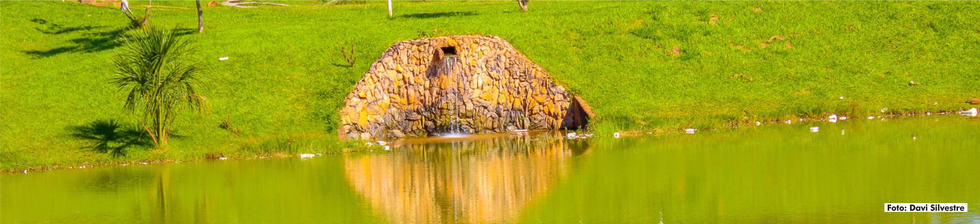 Parque - Davi Silvestre 05