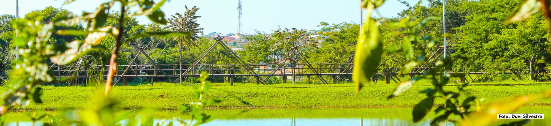 Parque - Davi Silvestre 04