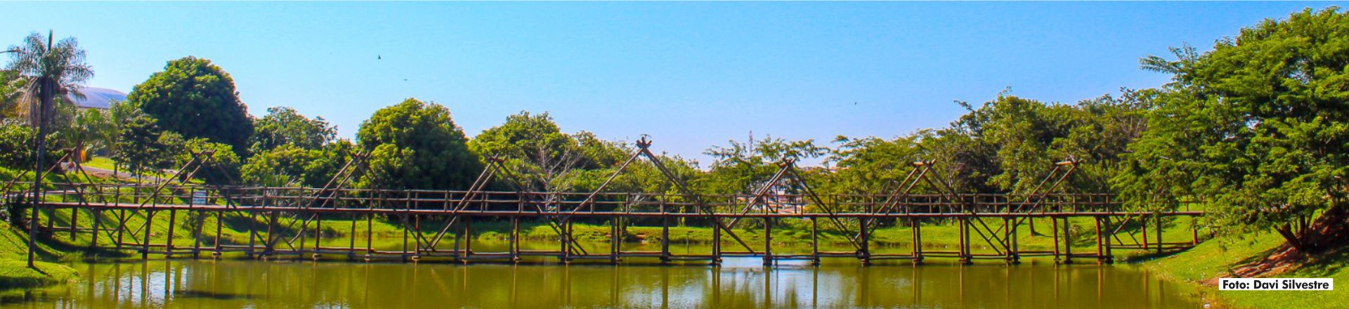 Parque - Davi Silvestre 01